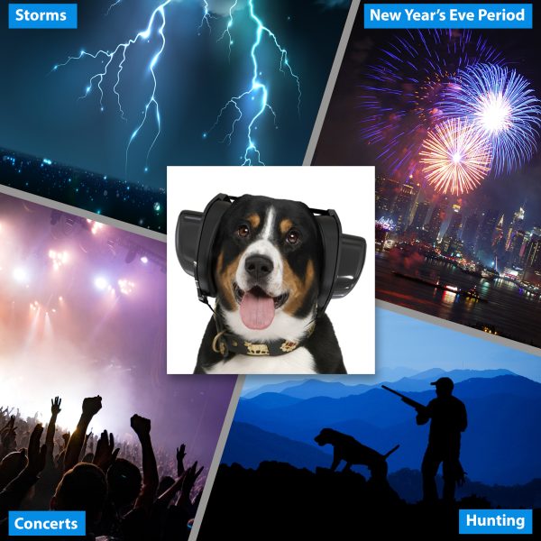 DOG+ - Image 4