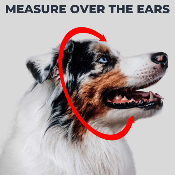 Measure over the ears